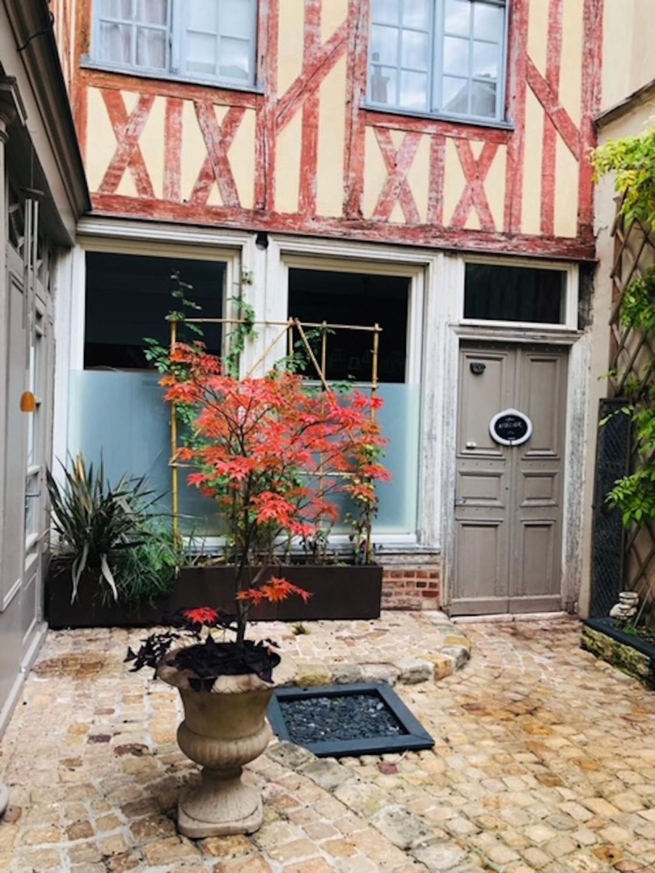 Ferienwohnung Atelier Des Glycines, Troyes Bouchon De Champagne, Sublime Site Patrimonial Exterior foto